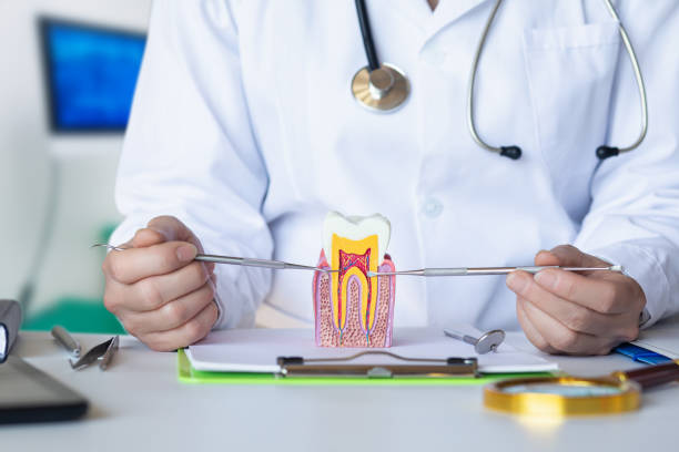 Best Walk-In Emergency Dentist in Ligh, NE